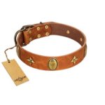 "Space Warrior" FDT Artisan Tan Leather Great Dane Collar with Ovals and Stars