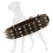 Safe Great Dane Leather Collar | Brass and Spikes