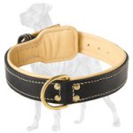 Riveted Leather Great Dane Collar with Nappa Padding