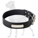 Leather Great Dane Collar for Great Dane with ID Tag