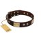 "Middle Age" FDT Artisan Brown Leather Great Dane Collar with Old Bronze-Plated Engraved Flowers and Large Plates