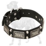 Plated Leather Great Dane Collar with Pyramids