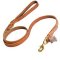 Great Dane Latigo Braided Leather Lead