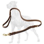 Multitasking Leather Great Dane Leash With 2 Handles