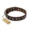 'Bronze Sheen' FDT Artisan Great Dane Brown Leather Dog Collar with Old Bronze-Like Plated Studs - 1 1/2 inch (40 mm) wide