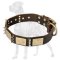 Fashionable Leather Collar with Plates and Spikes for Great Dane