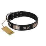 "Pitch Dark" FDT Artisan Black Leather Great Dane Collar with Stars and Plates