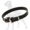 Excellent Classic Leather Collar for Great Dane