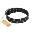 "Power-Flower" FDT Artisan Black Leather Great Dane Collar with Two Rows of Silver-like Studs with Engraved Flowers