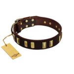"Peace and Harmony" FDT Artisan Brown Leather Great Dane Collar with Plates