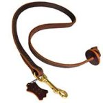 Pocket Leather Leash for Easy Great Dane Control
