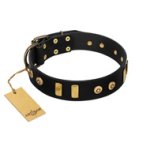 "Rare Dog" FDT Artisan Black Leather Great Dane Collar with Old Bronze-like Dotted Studs and Tiles