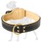 Riveted Leather Great Dane Collar with Nappa Padding