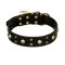 FDT Artisan 'Heavy Metal' Decorated Leather Great Dane Collar with Skulls and Studs 1 1/2 inch (40 mm)