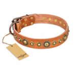 'Feast of Luxury' FDT Artisan Great Dane Tan Leather Dog Collar with Old Bronze-Like Plated Circles - 1 1/2 inch (40 mm) wide
