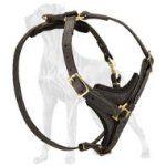 Walking without Limits Leather Great Dane Harness