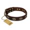 'Chocolate kiss' FDT Artisan Leather Great Dane Collar with Old Bronze Look Oval Plates