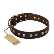 'Bronze Sheen' FDT Artisan Great Dane Brown Leather Dog Collar with Old Bronze-Like Plated Studs - 1 1/2 inch (40 mm) wide