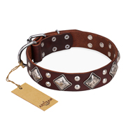 "King of Grace" FDT Artisan Brown Leather Great Dane Collar