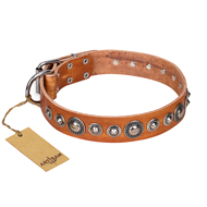 'Daily Chic' FDT Artisan Tan Leather Great Dane Collar with Decorations