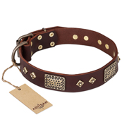FDT Artisan 'Loving Owner' Decorated Leather Great Dane Dog Collar with Plates and Studs 1 1/2 inch (40 mm)