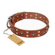 'Silver Elegance' FDT Artisan Tan Leather Great Dane Collar with Studs and Cones 1 1/2 inch (40 mm) Wide