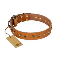 'Autumn Story' FDT Artisan Tan Leather Great Dane Collar with Old Bronze Look Studs - 1 1/2 inch (40 mm) wide