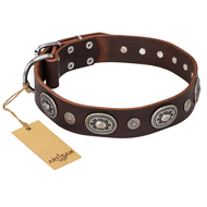 'Extra Pizzazz' FDT Artisan Adorned Brown Leather Great Dane Collar