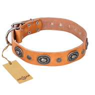 'Twinkle Twinkle' FDT Artisan Incredible Studded Tan Leather Great Dane Collar with Silver-Like Circles