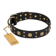 'Cosmic Glow' FDT Artisan Black Leather Great Dane Collar with Brass-Plated Studs - 1 1/2 inch (40 mm) wide