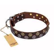 'Strong Shields' FDT Artisan Leather Great Dane Collar with Stylish Brooches