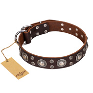 'Age of Beauty' FDT Artisan Incredible Studded Brown Leather Great Dane Collar