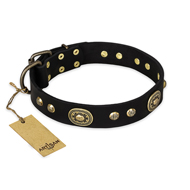 'High Fashion' FDT Artisan Studded with Plates Black Leather Great Dane Collar