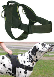The Best Walking/Training/Pulling Nylon Harness for Great Dane