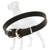 Excellent Classic Leather Collar for Great Dane