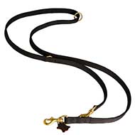 All-in-One Multi-Purpose Dog Leash for Great Dane