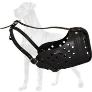 Great Dane Training Leather Muzzle