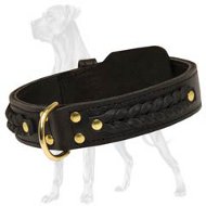Gorgeous Wide 2 Ply Leather Collar for Great Dane