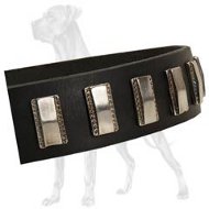 Perfect Leather Collar with Plates for Great Dane