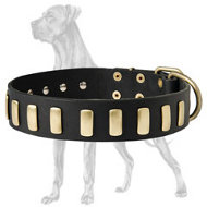 Gorgeous Wide Leather Collar With Plates for Great Dane
