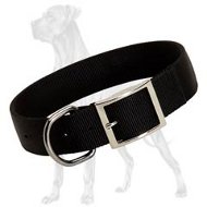 Amazing 2 Ply Nylon Collar for Great Dane