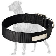 2 Ply Nylon Collar wih Name Tag for Great Dane