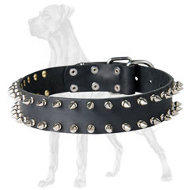 Reliable Leather Great Dane Collar with 2 Rows of Spikes