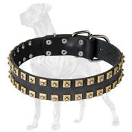 Unique Studded Leather Great Dane Collar