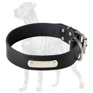 Amazing Leather Collar with ID Tag for Great Dane