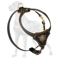 Designer Taining/Walking Leather Dog Harness for Great Dane Puppies