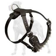 Spiked Leather Harness For Great Dane