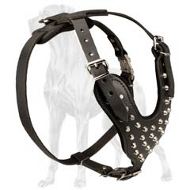 Designer Leather Dog Harness Studded with Pyramids for Great Dane Dog
