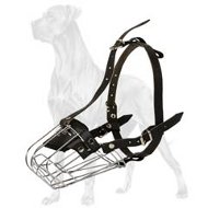 Wire Basket Great Dane Dog Muzzle