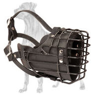 Exclusive Wire Cage Great Dane Muzzle | Rubber Covered